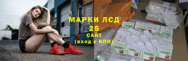 PSILOCYBIN Баксан