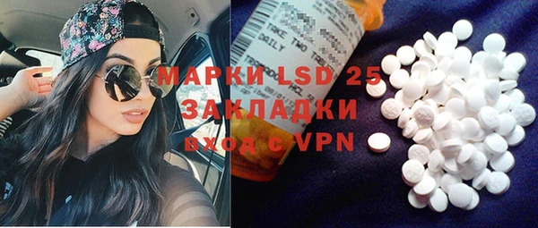 PSILOCYBIN Баксан