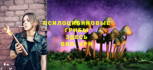 PSILOCYBIN Баксан